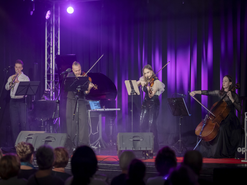 Miejskie Centrum Kultury w Skoczowie - Noworoczny Koncert Muzyki Filmowej/ 02.02.2026, sala widowiskowa 